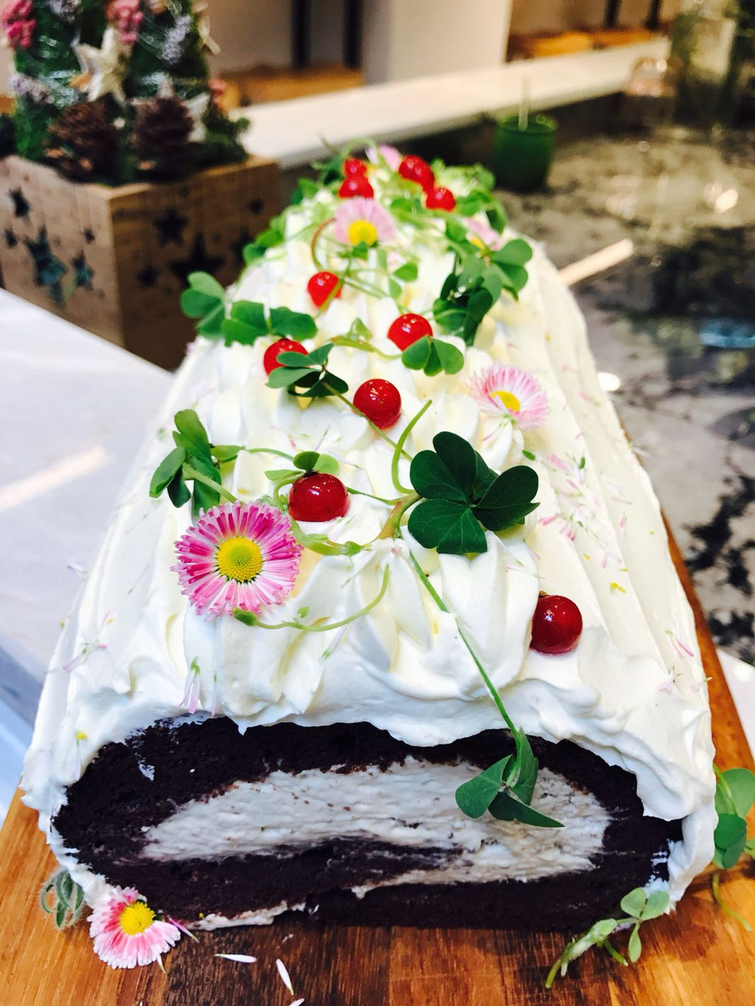 Christmas Chocolate Roulade